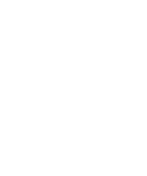 Checklist icon with check marks.
