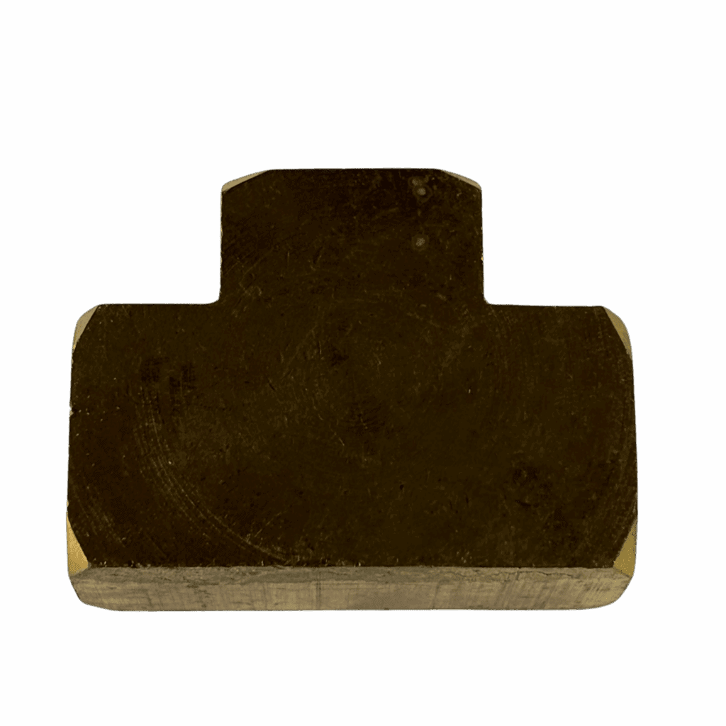 A dark brown, irregularly shaped object against a plain background.