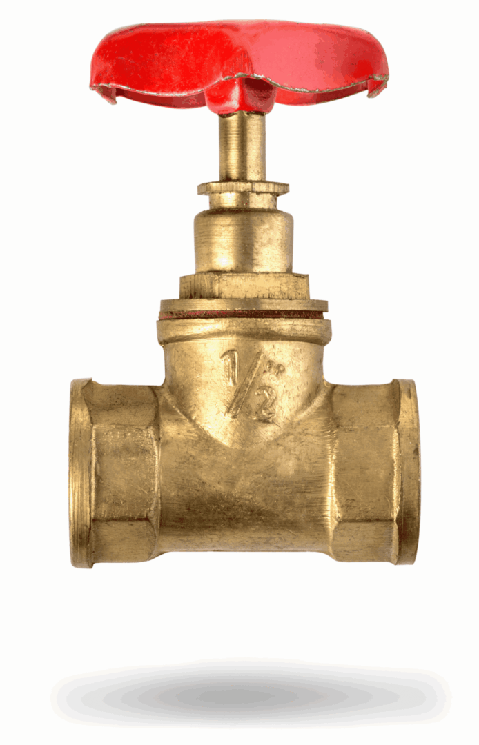 A brass gate valve with threaded ends for fluid control.